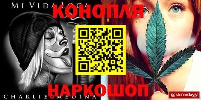 индика Ноябрьск