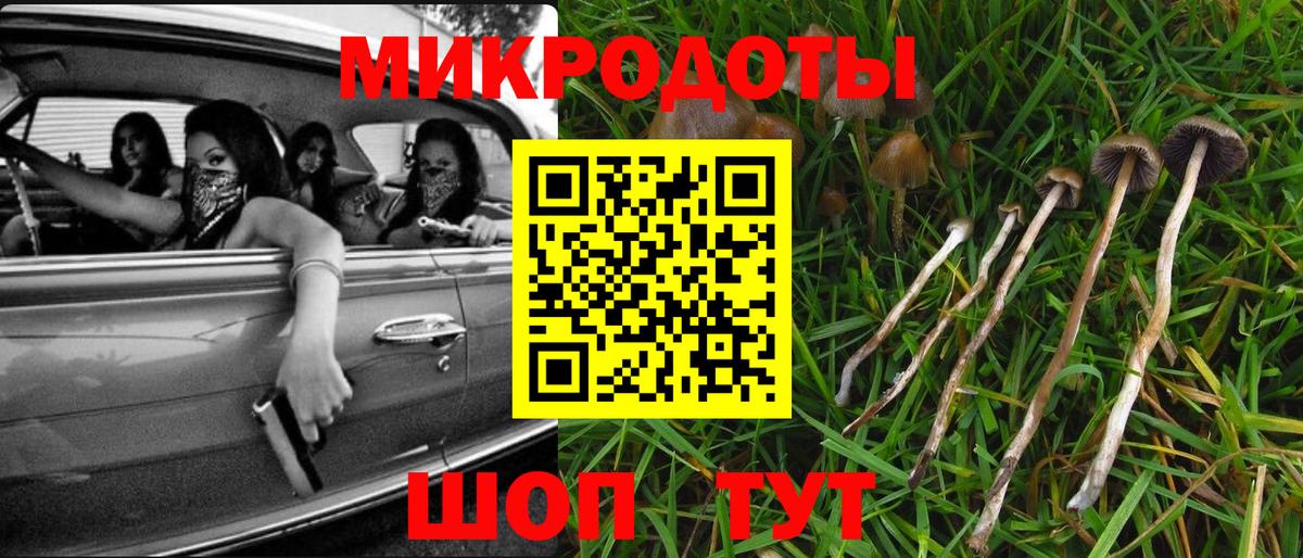 Псилоцибиновые грибы Psilocybine cubensis  Вход с VPN  Прокопьевск 